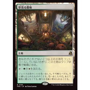 画像: 【Foil】【日本語版】草茂る農地/Overgrown Farmland
