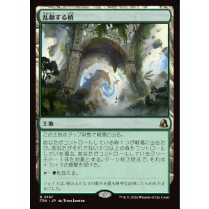画像: 【Foil】【日本語版】乱動する梢/Roiling Canopy