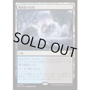 画像: 【日本語版】難破船の湿地/Shipwreck Marsh