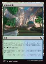 画像: 【日本語版】変容の広場/Transformative Commons