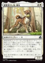 画像: 【日本語版】寵愛受けし友、義丸/Yoshimaru, Beloved Companion