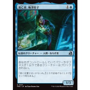 画像: 【日本語版】逃亡者、梅澤哲子/Tetsuko Umezawa, Fugitive