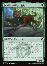 画像: 【日本語版】争い好きの野良犬、義丸/Yoshimaru, Scrappy Stray