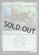 画像: 【日本語版】争い好きの野良犬、義丸/Yoshimaru, Scrappy Stray