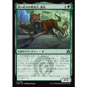 画像: 【日本語版】争い好きの野良犬、義丸/Yoshimaru, Scrappy Stray