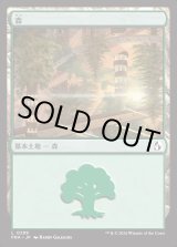 画像: 【日本語版】森/Forest