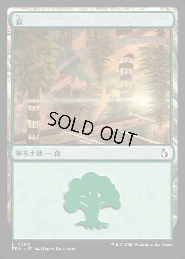 画像1: 【日本語版】森/Forest (1)