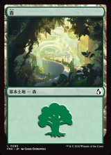 画像: 【日本語版】森/Forest