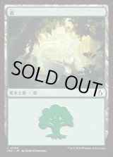 画像: 【日本語版】森/Forest