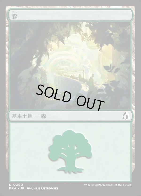 画像1: 【日本語版】森/Forest (1)