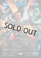 画像: 【日本語版】【砕けし鏡像・ボーダーレス】歴戦の冷術士/Seasoned Cryomancer