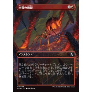 画像: 【日本語版】【ブレインツイスターシリーズ・ボーダーレス】本質の焼却/Essence Burn