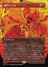 画像: 【日本語版】【ブレインツイスターシリーズ・ボーダーレス】個性のこだま/Identity Echo