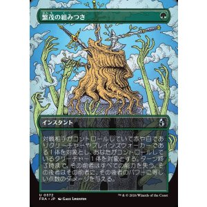 画像: 【日本語版】【ブレインツイスターシリーズ・ボーダーレス】繁茂の組みつき/Flourishing Grapple