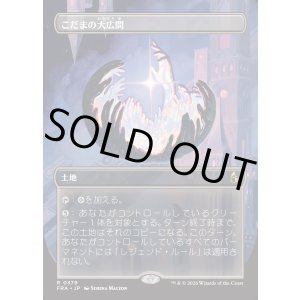 画像: 【Foil】【日本語版】【ブレインツイスターシリーズ・ボーダーレス】こだまの大広間/Hall of Echoes