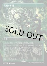 画像: 【Foil】【日本語版】【ブレインツイスターシリーズ・ボーダーレス】乱動する梢/Roiling Canopy