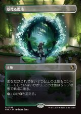 画像: 【予約シングル】【日本語版】【ポータルの眺め・ボーダーレス】草茂る農地/Overgrown Farmland