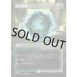 画像: 【Foil】【日本語版】【ポータルの眺め・ボーダーレス】草茂る農地/Overgrown Farmland