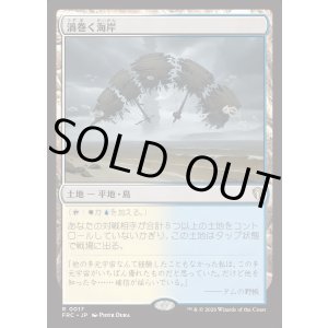 画像: 【日本語版】渦巻く海岸/Turbulent Shore