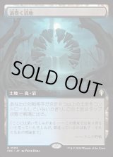 画像: 【日本語版】【拡張枠】渦巻く沼地/Turbulent Wetlands