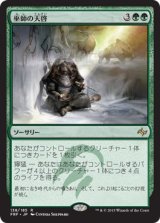 画像: 【日本語版】巫師の天啓/Shamanic Revelation