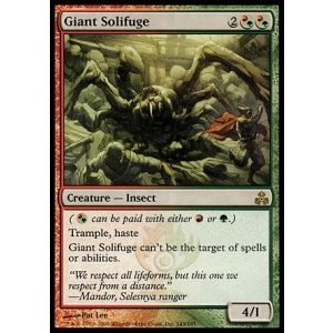画像: 【日本語版】巨大ヒヨケムシ/Giant Solifuge