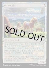 画像: 【日本語版】ポニーの群れ/Troop of Ponies