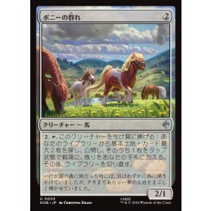 画像: 【日本語版】ポニーの群れ/Troop of Ponies
