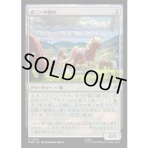 画像: 【日本語版】ポニーの群れ/Troop of Ponies