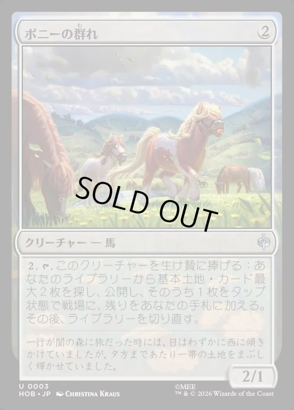 画像1: 【日本語版】ポニーの群れ/Troop of Ponies (1)