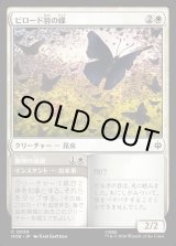 画像: 【日本語版】ビロード羽の蝶/驚嘆の凝視/Velvetwing Butterflies/Gaze in Wonder