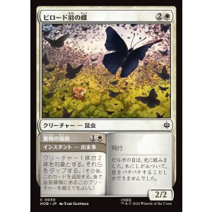画像: 【日本語版】ビロード羽の蝶/驚嘆の凝視/Velvetwing Butterflies/Gaze in Wonder