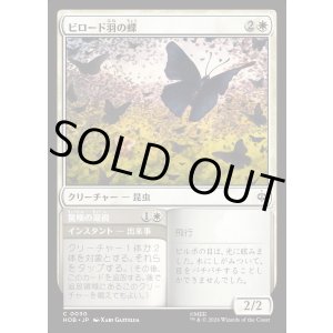 画像: 【日本語版】ビロード羽の蝶/驚嘆の凝視/Velvetwing Butterflies/Gaze in Wonder