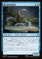 画像: 【日本語版】闇の森の瞑想家/Mirkwood Meditator