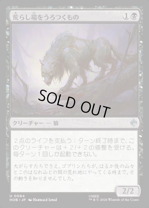 画像1: 【日本語版】荒らし場をうろつくもの/Desolation Prowler (1)