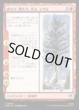 画像: 【日本語版】燃えろ、燃えろ、木よ、シダよ/Burn, Burn, Tree and Fern