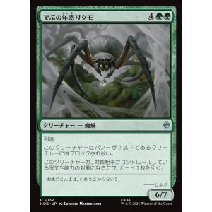 画像: 【日本語版】でぶの年寄りクモ/Old Fat Spider
