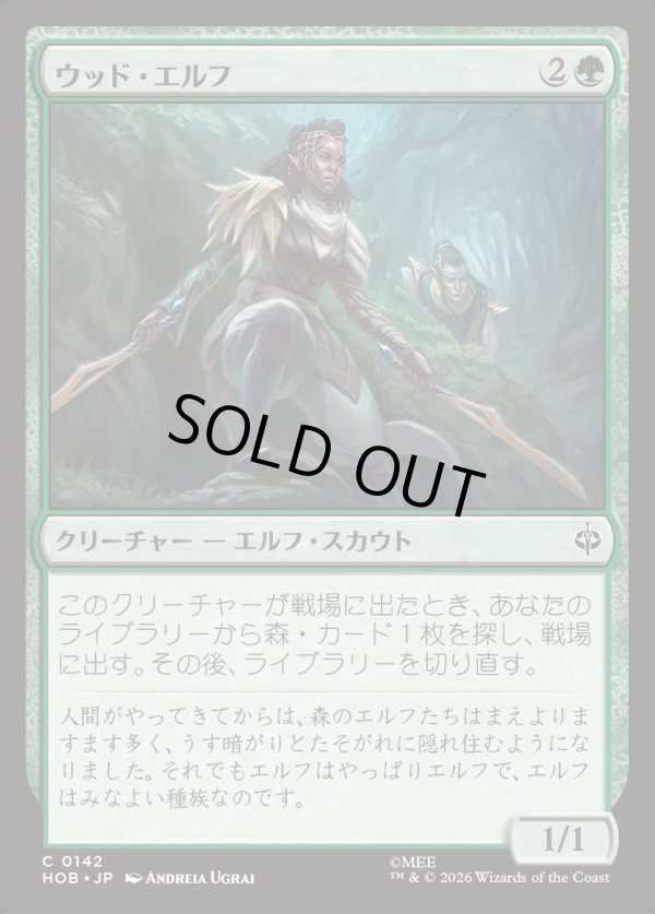 画像1: 【日本語版】ウッド・エルフ/Wood Elves (1)