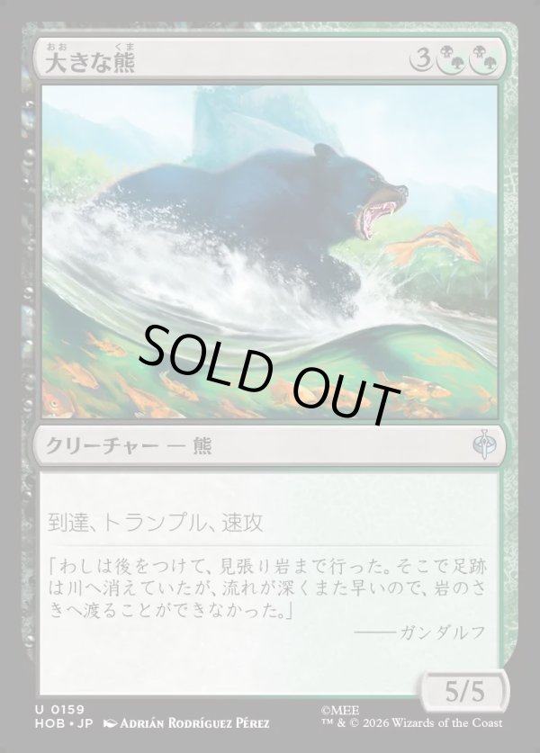 画像1: 【日本語版】大きな熊/Large Bear (1)