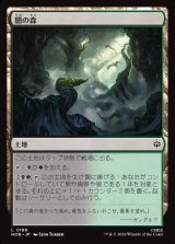 画像: 【日本語版】闇の森/Mirkwood