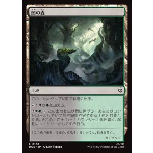 画像: 【日本語版】闇の森/Mirkwood