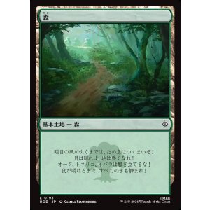 画像: 【日本語版】森/Forest