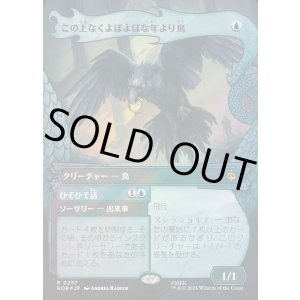 画像: 【サージFoil】【日本語版】【竜の財宝フレーム】この上なくよぼよぼな年より鳥/Most Decrepit Old Bird/Speak Secrets