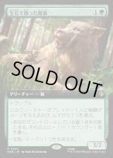 画像: 【Foil】【日本語版】【拡張枠】宝石で飾った魔狼/Bejeweled Warg