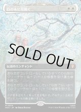 画像: 【日本語版】【中つ国クラシックアーティスト・カード】白の木に花開く/Flowering of the White Tree