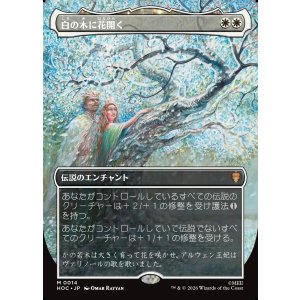 画像: 【日本語版】【中つ国クラシックアーティスト・カード】白の木に花開く/Flowering of the White Tree