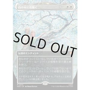 画像: 【Foil】【日本語版】【中つ国クラシックアーティスト・カード】白の木に花開く/Flowering of the White Tree