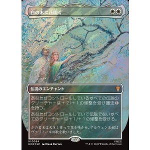 画像: 【サージFoil】【日本語版】【中つ国クラシックアーティスト・カード】白の木に花開く/Flowering of the White Tree