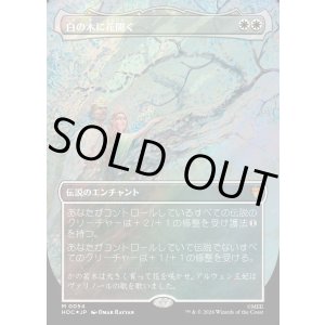 画像: 【サージFoil】【日本語版】【中つ国クラシックアーティスト・カード】白の木に花開く/Flowering of the White Tree