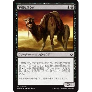 画像: 【日本語版】不憫なラクダ/Wretched Camel